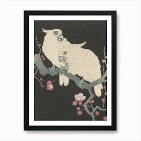 Japanese Ukiyo-E Two Cockatoos Art Print