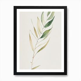 Willow Leaf Minimalist Watercolour 2 Art Print