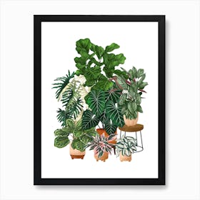 Plant Collection 2 Art Print