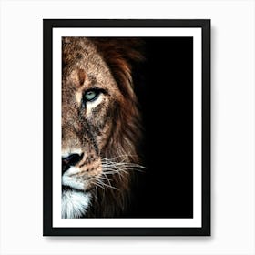 Portrait Of A Lion 1 Art Print