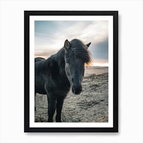 Black Pony 1 Art Print