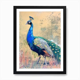 Sketch Of A Peacock Walking 2 Art Print