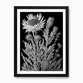 Thistle Wildflower Linocut 1 Art Print