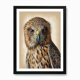 Hawk hawk Art Print