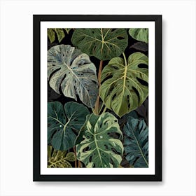 Monstera Leaves 2 Art Print