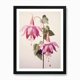 Floral Illustration Fuchsia 1 Art Print