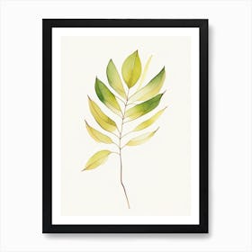 Cassia Leaf Minimalist Watercolour Art Print