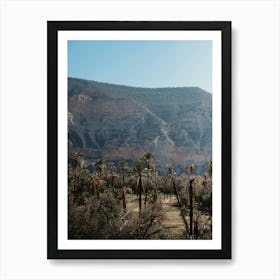 Mountains of Morocco with palmtrees | Travel Photography Art Print