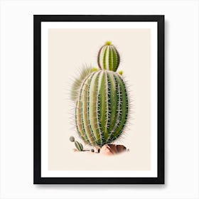 Parodia Cactus Marker Art 1 Art Print