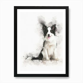 Border Collie Dog Art Print