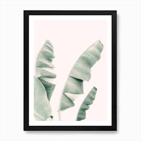 Banana Leaf Pastel Art Print