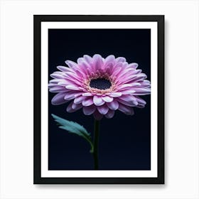 Pink Gerbera Flower 6 Art Print