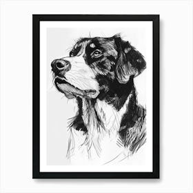 Greater Swiss Mountain Dog Line Sketch 3 Art Print
