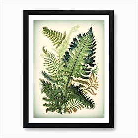 New York Fern Wildflower Vintage Botanical Art Print