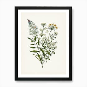 Vintage Botanical Galleria Style Wildflower Painting 5 Art Print