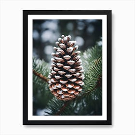 Pine Cone In Winter Art Print