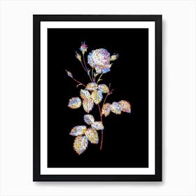 Stained Glass Provence Rose Mosaic Botanical Illustration on Black n.0111 Art Print
