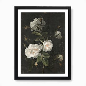 Still Life French Roses Art Print