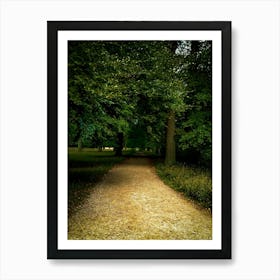 Kongens Dyrhave near Copenhagen tree tunnel Art Print