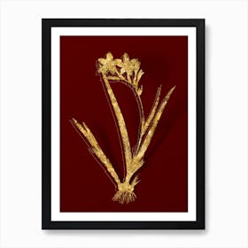 Vintage Gladiolus Cardinalis Botanical in Gold on Red n.0516 Art Print