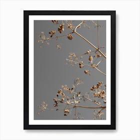 Sunshine Kissed Branches   Greige Dried Flowers Art Print