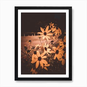 Flowers III Art Print