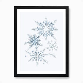 Snowflakes In The Snow,  Snowflakes Pencil Illustration 1 Art Print