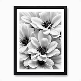 Alstromeria B&W Pencil 2 Flower Art Print