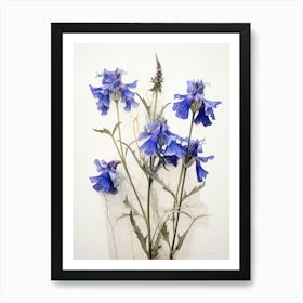 Pressed Flower Botanical Art Lobelia 2 Art Print