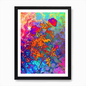 Rose of the Hedges Botanical in Acid Neon Pink Green and Blue n.0193 Art Print