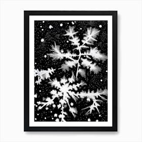 Stellar Dendrites, Snowflakes, Black & White 1 Poster