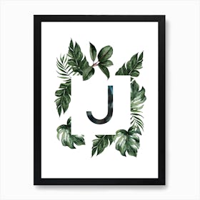 Botanical Alphabet J Art Print