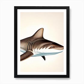 Port Jackson 3 Shark Vintage Art Print