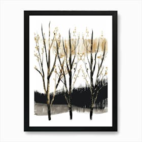 Birch Trees 13 Art Print