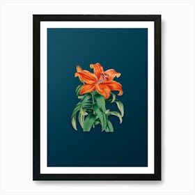 Vintage Thunberg's Orange Lily Botanical Art on Teal Blue n.0308 Art Print