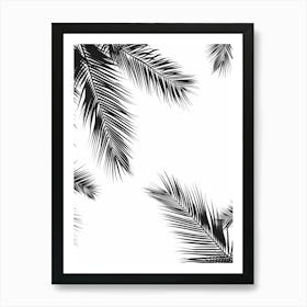 Palm Leaves On A White Background 1 Art Print