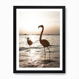 Flamingos At Sunset Art Print