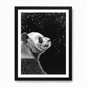 Giant Panda Looking At A Starry Sky Ink Illustration 4 Art Print