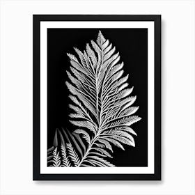 Douglas Fir Needle Leaf Linocut Art Print