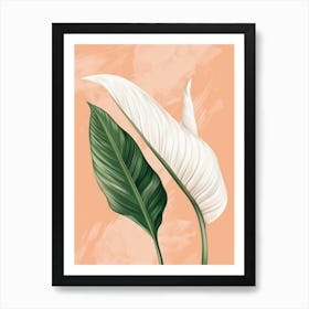 White Lily 1 Art Print