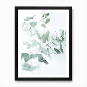 Soft green eucalyptus - botanical nature and travel photography by Christa Stroo Photography Art Print