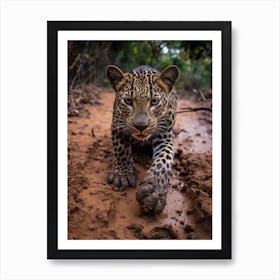 African Leopard Muddy Paws Realism 1 Art Print