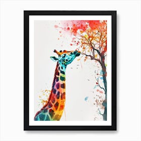 Giraffe Eating Leaves Watercolour 3 Art Print
