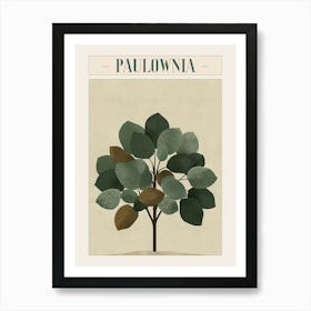 Paulownia Tree Minimal Japandi Illustration 3 Poster Art Print