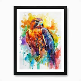 Hawk Colourful Watercolour 2 Art Print