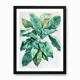 Banana Leaf 1 Art Print