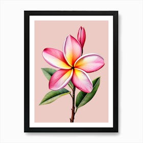 Plumeria Flower Art Print