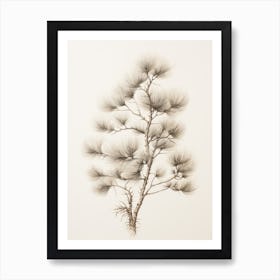 Rustic Winter Botanical Drawing Art Print