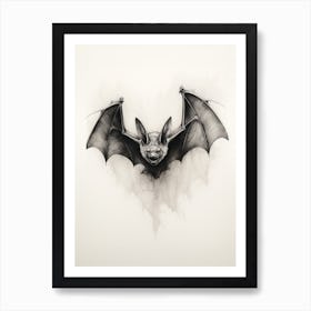 Flying Fox Bat Vintage Illustration 3 Art Print