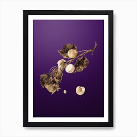 Gold Botanical Peach on Royal Purple n.2753 Art Print